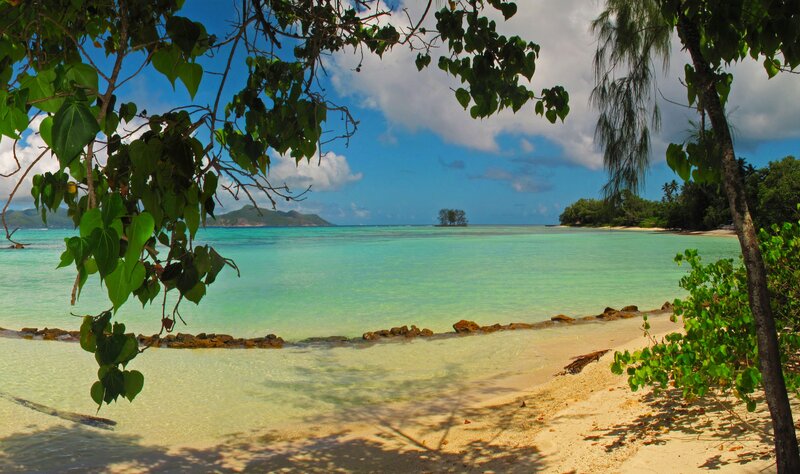 Tropical Beach Cove — Blue, Serene, Afternoon, Photograph, Trees, Sand
