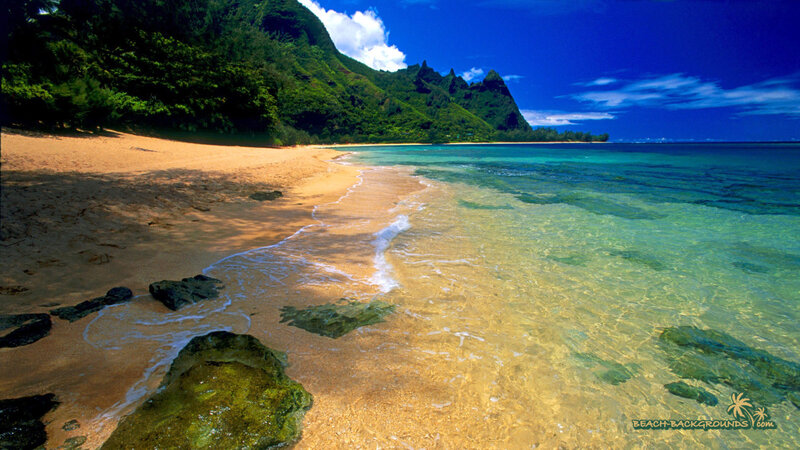 Tropical Beach Cove — Blue, Serene