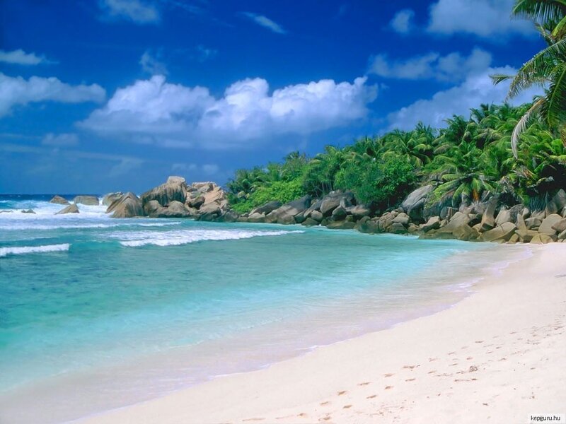 Tropical Beach Cove — Blue