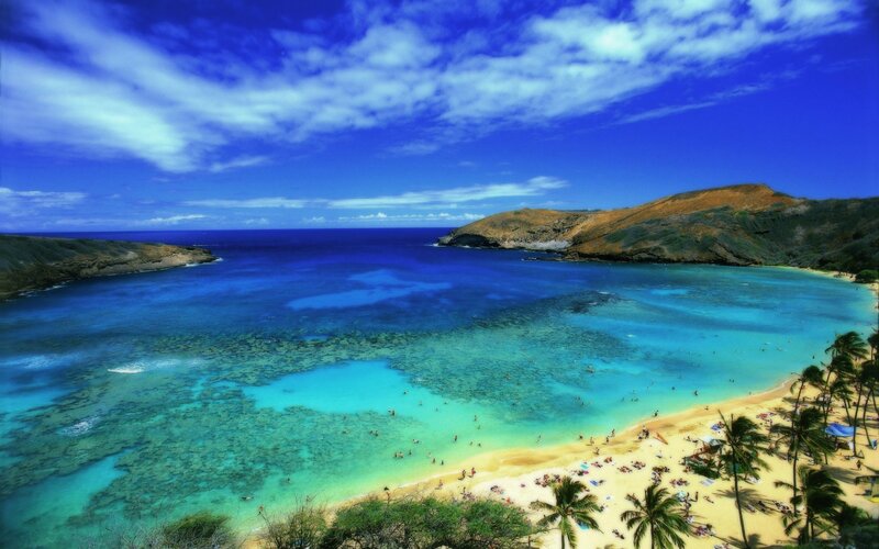 Tropical Beach Cove — Coral Reef