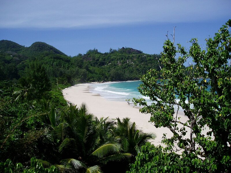 Tropical Beach Cove — Green, Serene, Afternoon, Photograph