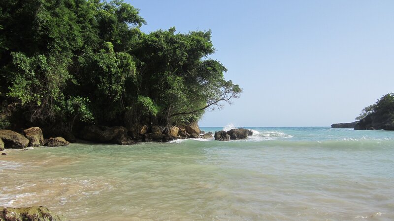 Tropical Beach Cove — Green, Serene, Afternoon, Photograph, Trees, Rocks