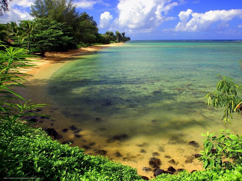 Tropical Beach Cove — Green, Serene, Afternoon, Photograph, Trees, Sand