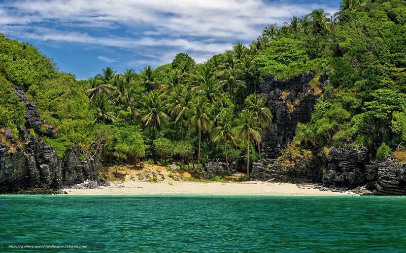 Tropical Beach Cove — Green, Serene, Afternoon