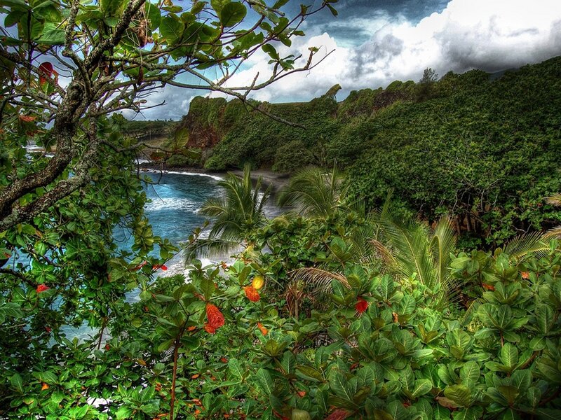 Tropical Beach Cove — Green