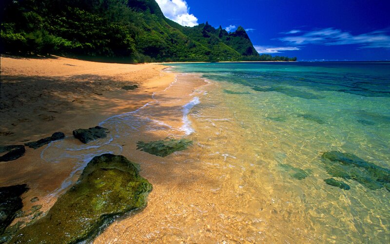 Tropical Beach Cove — Mountain
