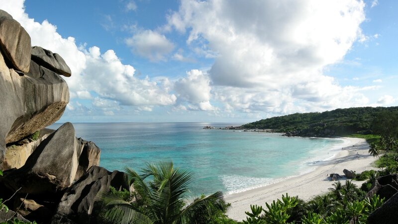 Tropical Beach Cove — Palm Trees