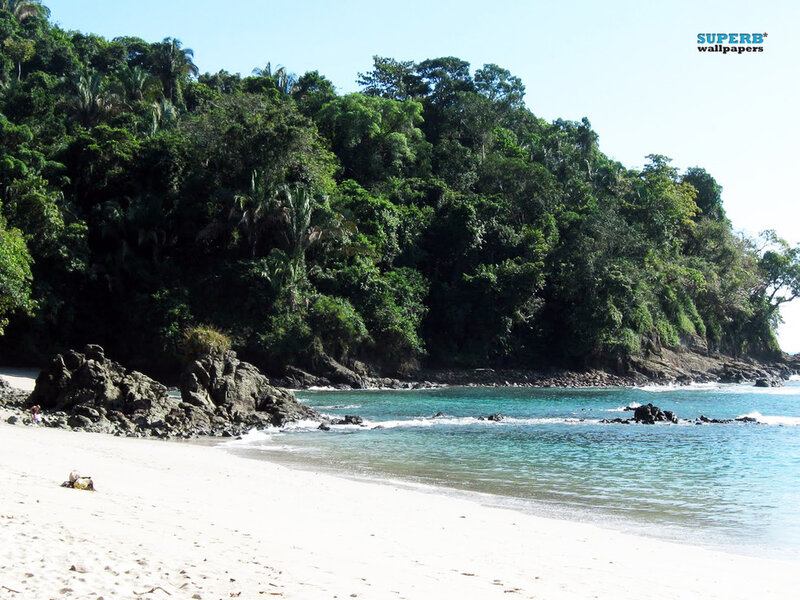 Tropical Beach Cove — White