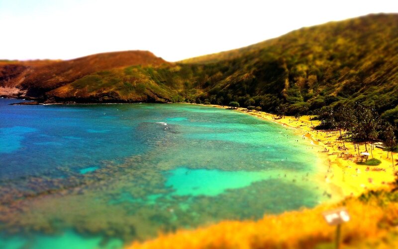 tropical beach cove with clear water