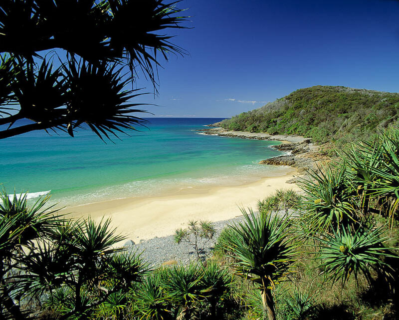 tropical beach cove with palm trees