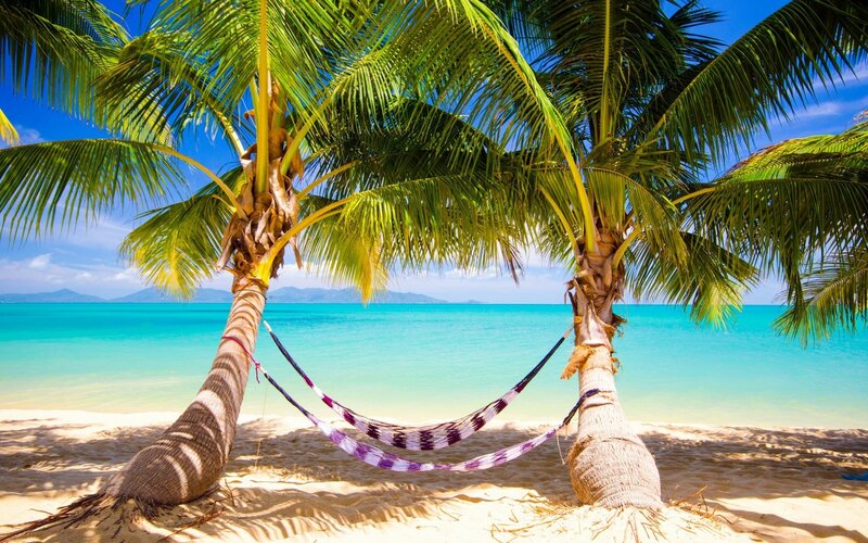 Tropical beach hammock scene