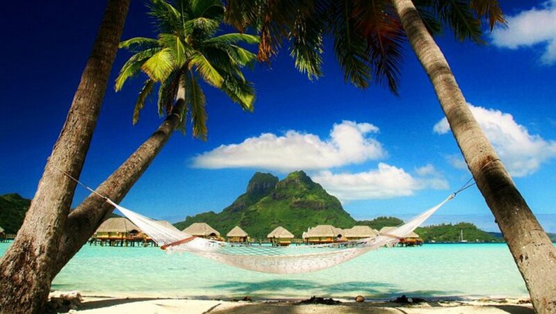 Tropical beach hammock view