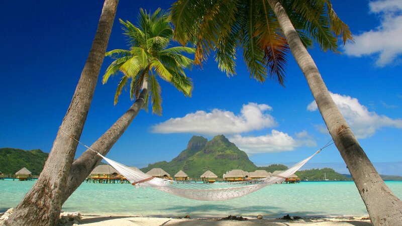 Tropical beach hammock view