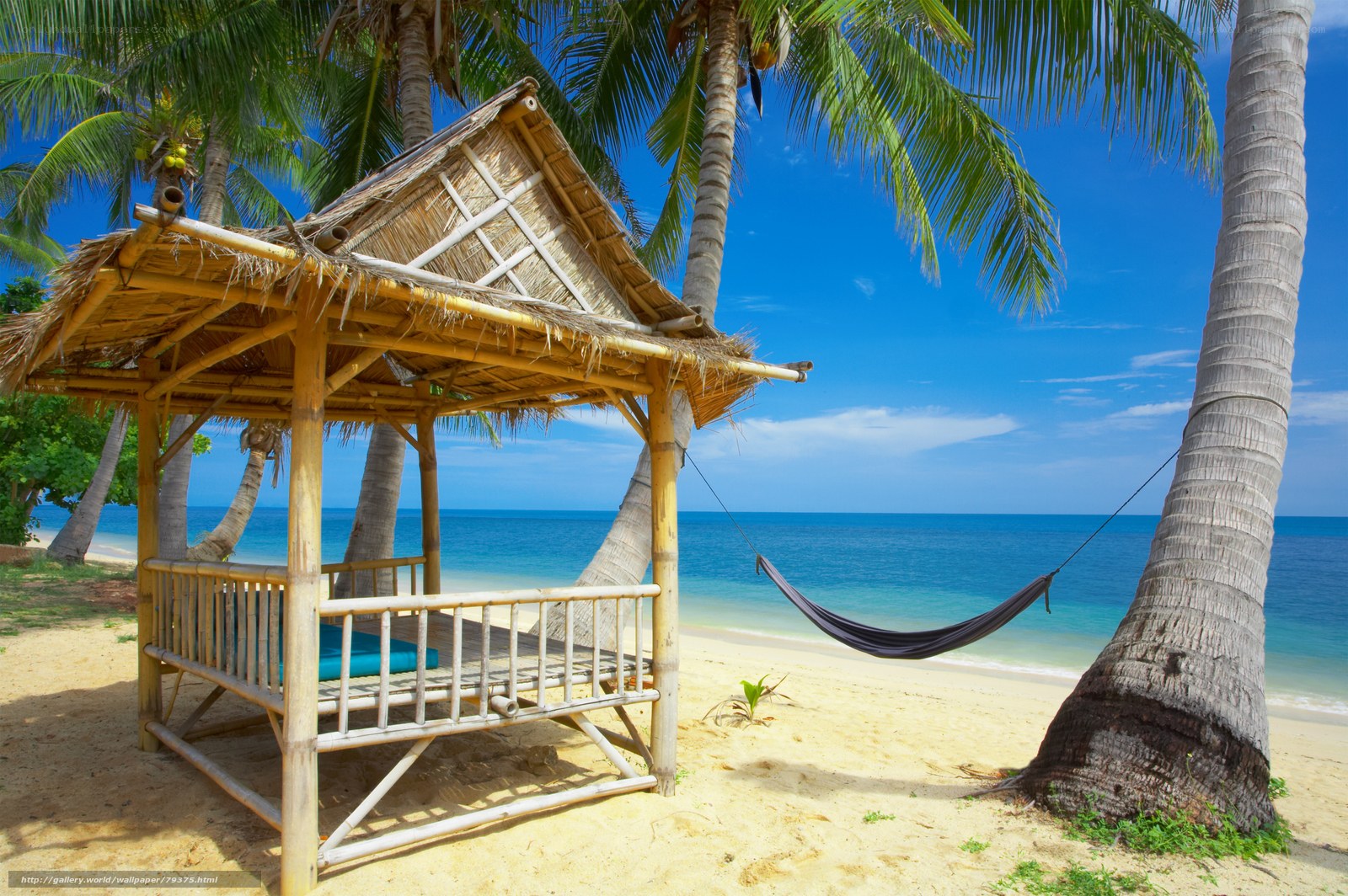 Tropical beach hut and hammock