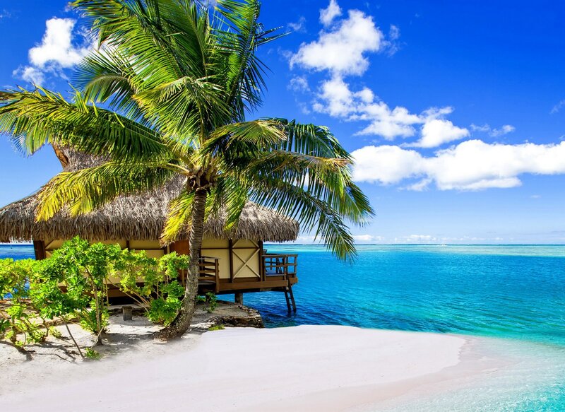 Tropical Beach Hut — Blue, Serene, Afternoon, Photograph, Palm Tree, Ocean, Sand