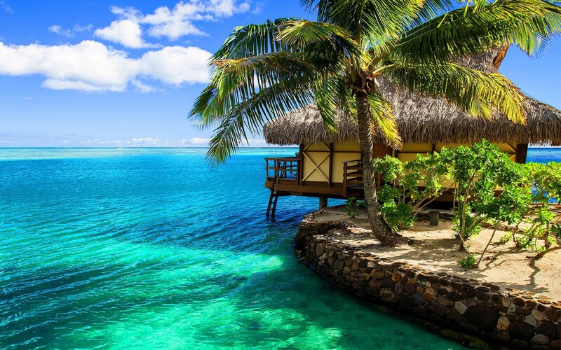 Tropical Beach Hut — Blue, Serene, Afternoon, Photograph, Palm Tree, Ocean