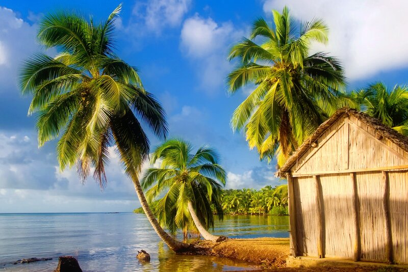 Tropical Beach Hut — Blue, Serene, Afternoon, Photograph, Palm Trees, Ocean