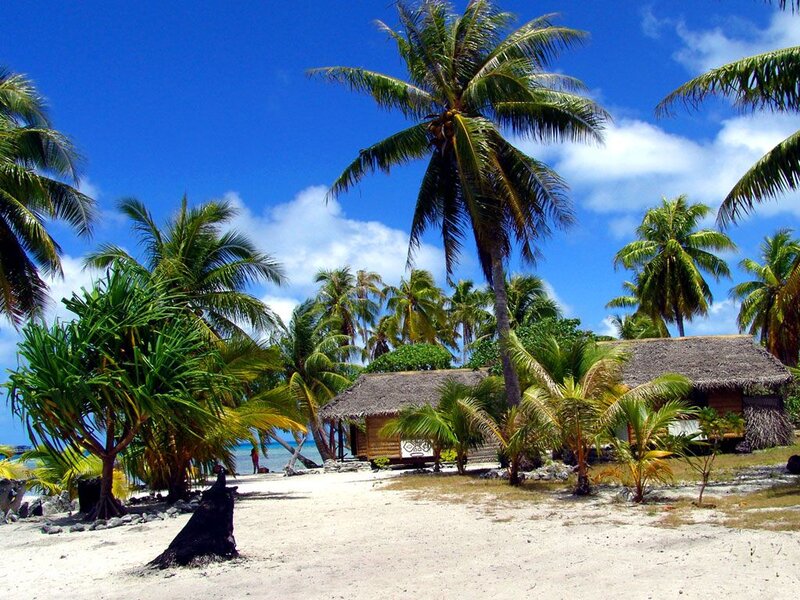 Tropical Beach Hut — Blue, Serene, Afternoon, Photograph, Palm Trees