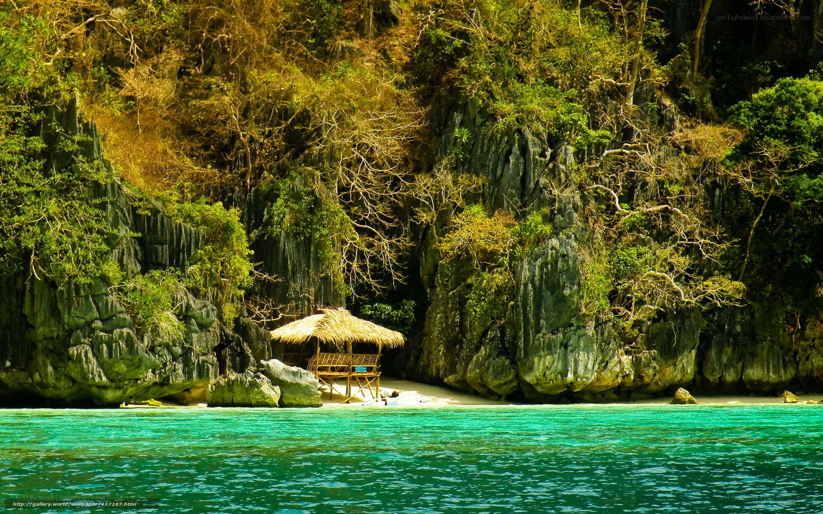 Tropical beach hut in a cove