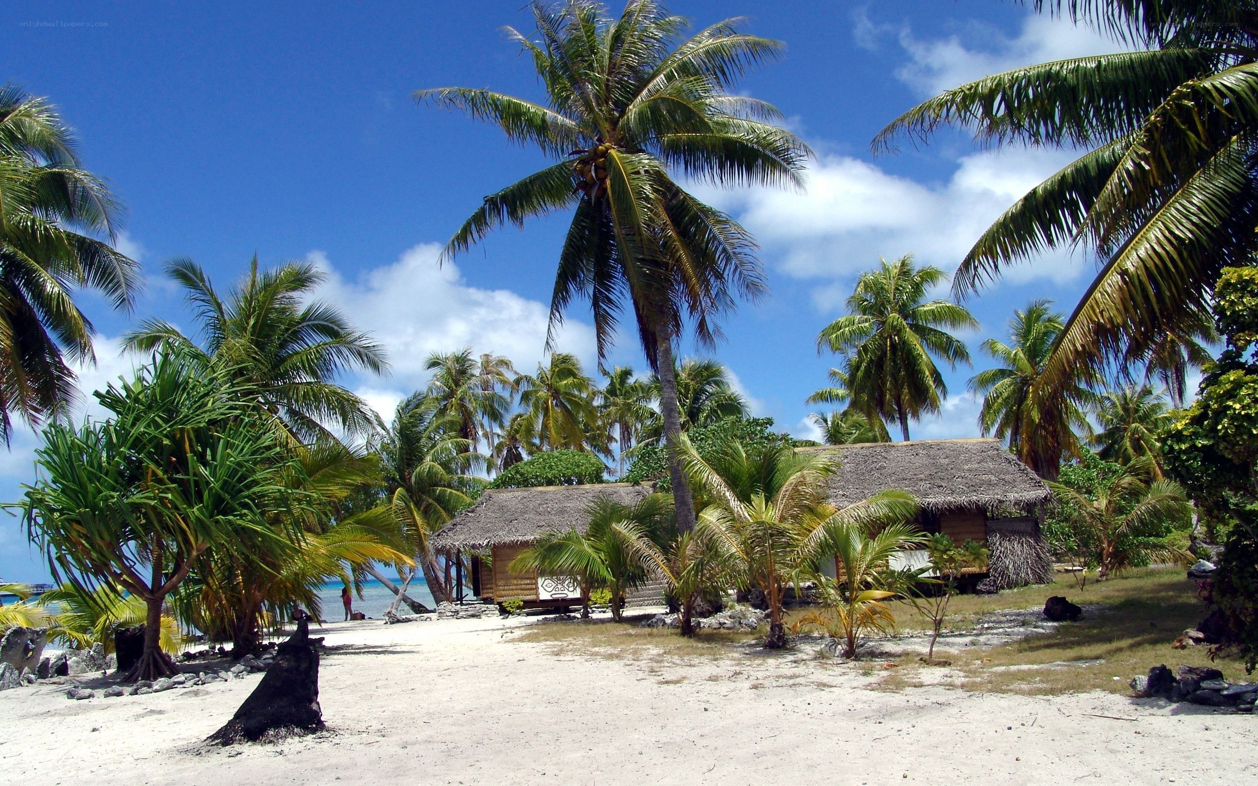 Tropical beach hut scene