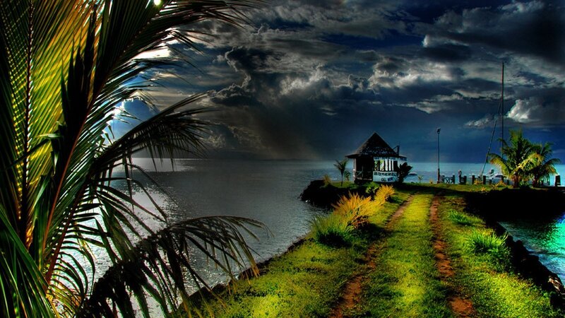 Tropical Beach Hut