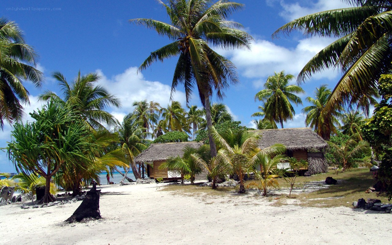 Tropical beach hut village