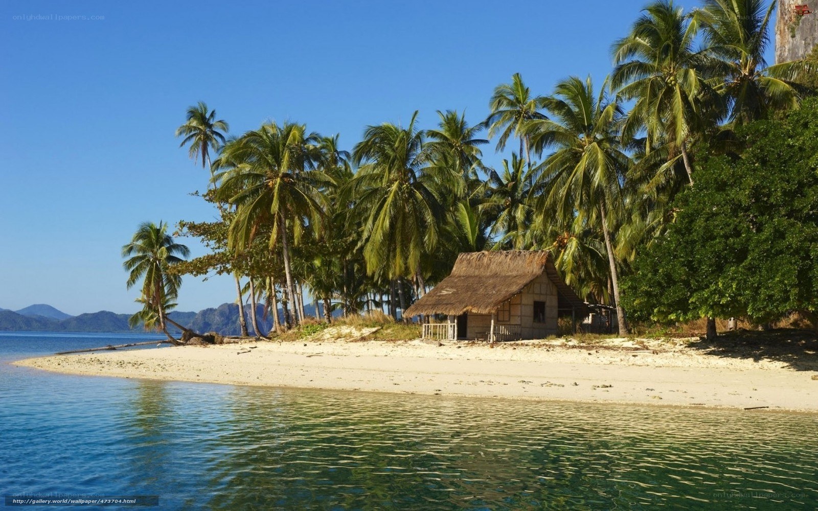 Tropical beach hut with palm trees