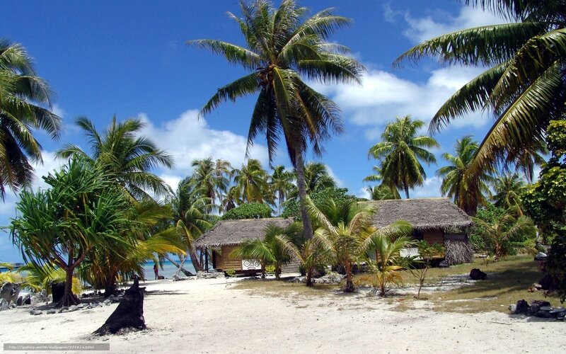 Tropical Beach Huts — Blue, Serene, Afternoon
