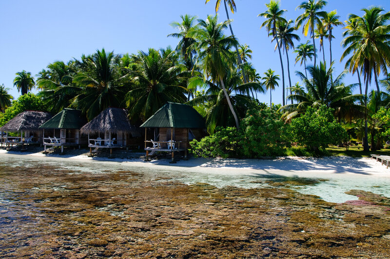 Tropical Beach Huts — Blue