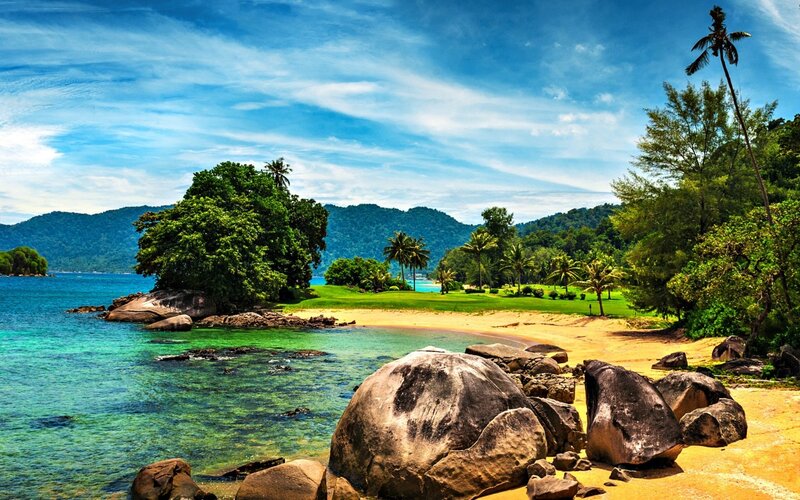 Tropical Beach Landscape — Blue, Serene, Afternoon, Photograph, Palm Trees