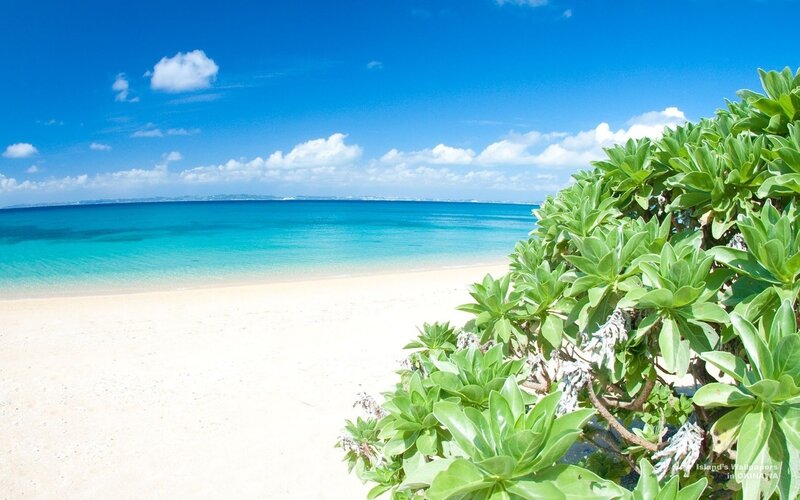Tropical Beach Landscape — Blue, Serene, Afternoon, Photograph, Sand, Ocean
