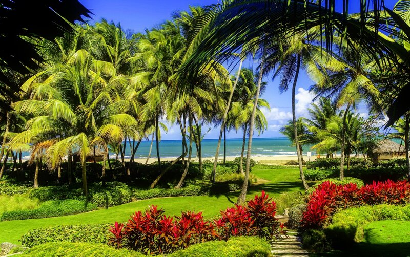 Tropical Beach Landscape — Green