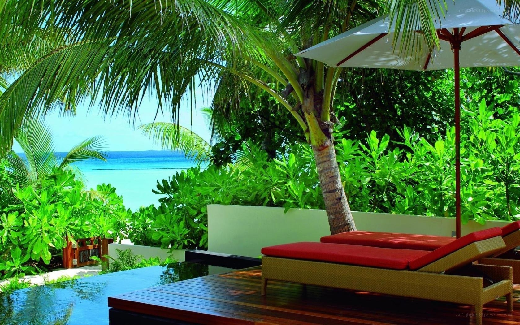 Tropical beach lounge area