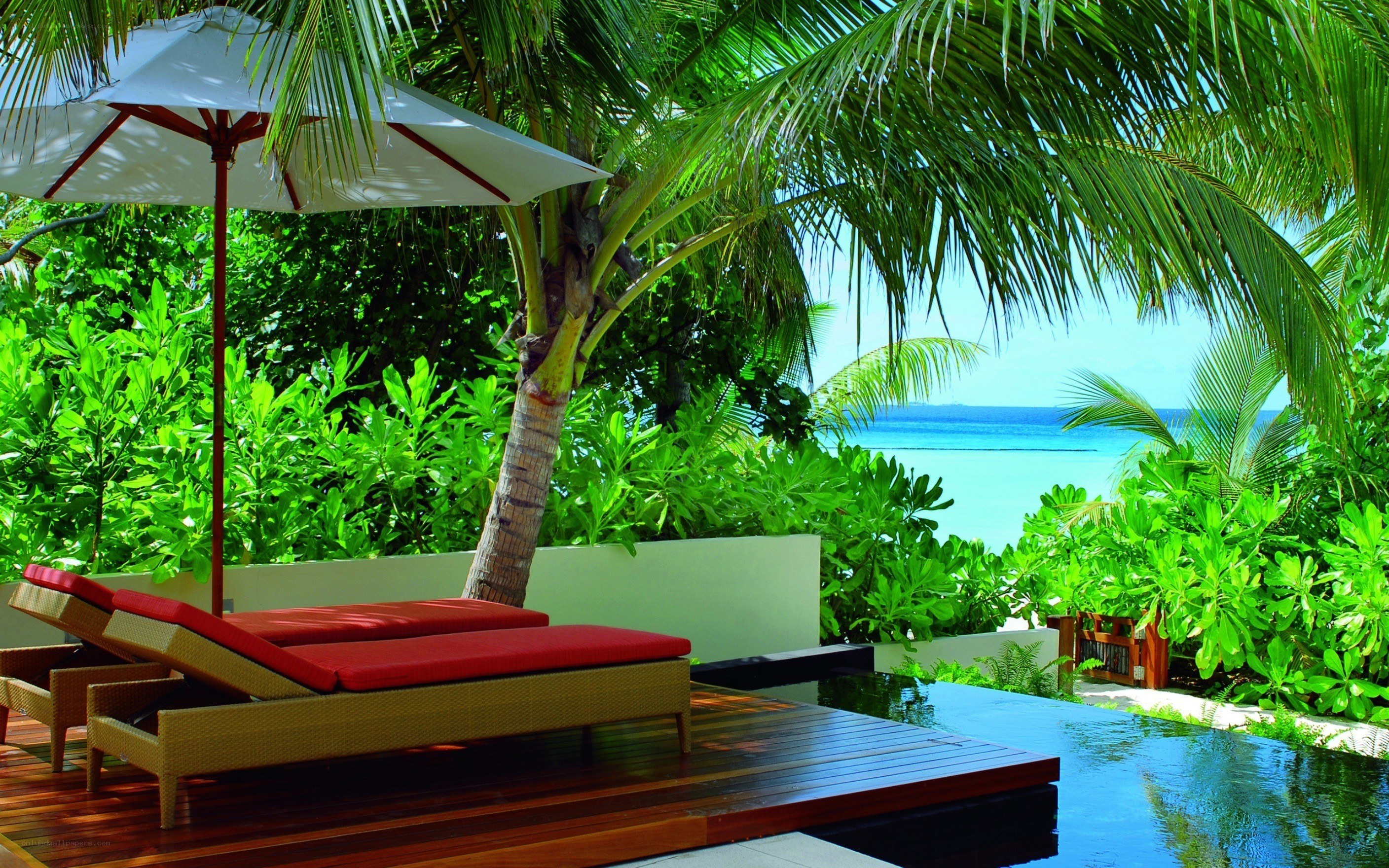 Tropical beach lounge area