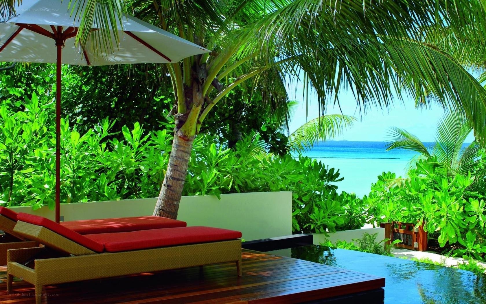 Tropical beach lounge area