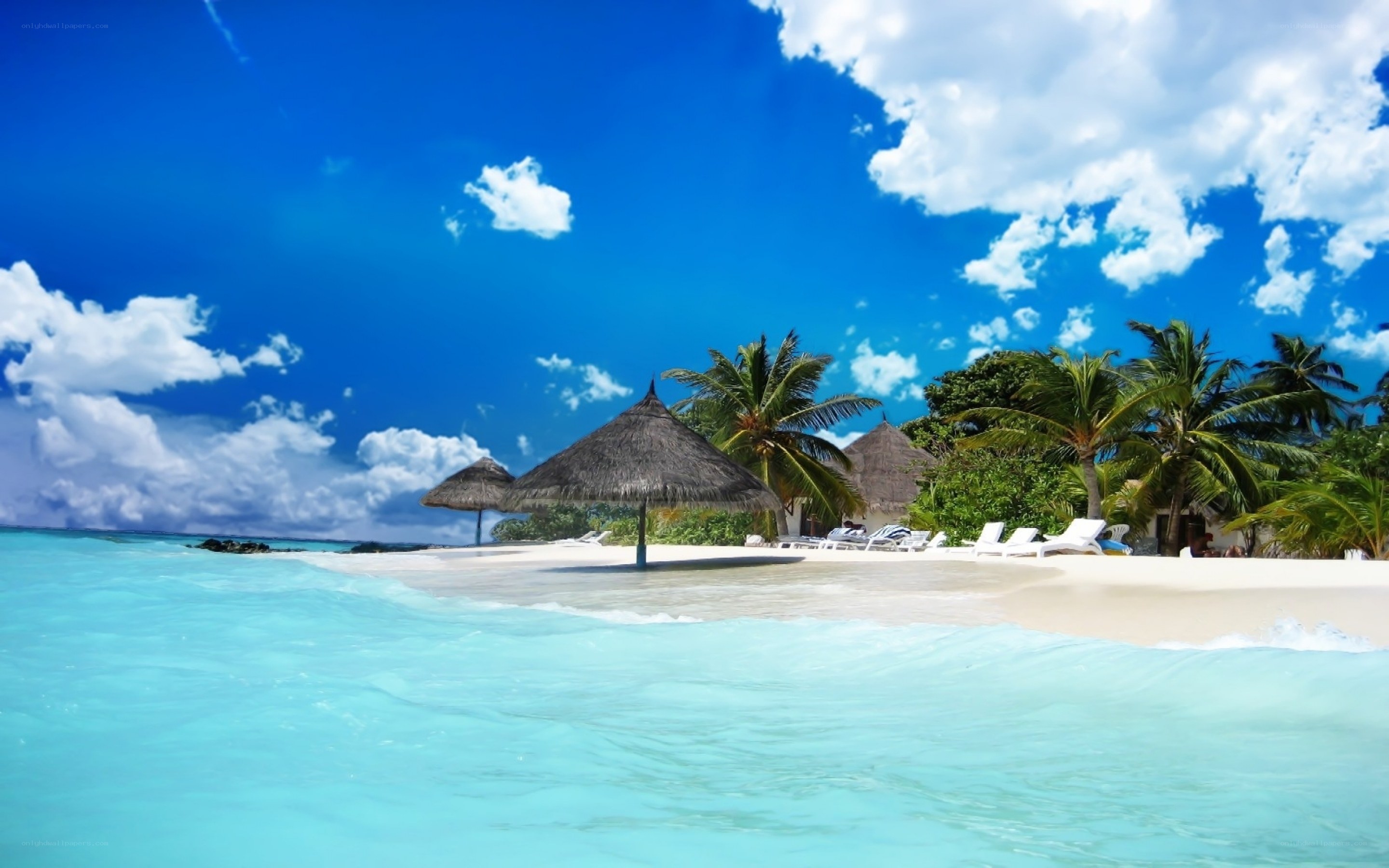 tropical beach paradise