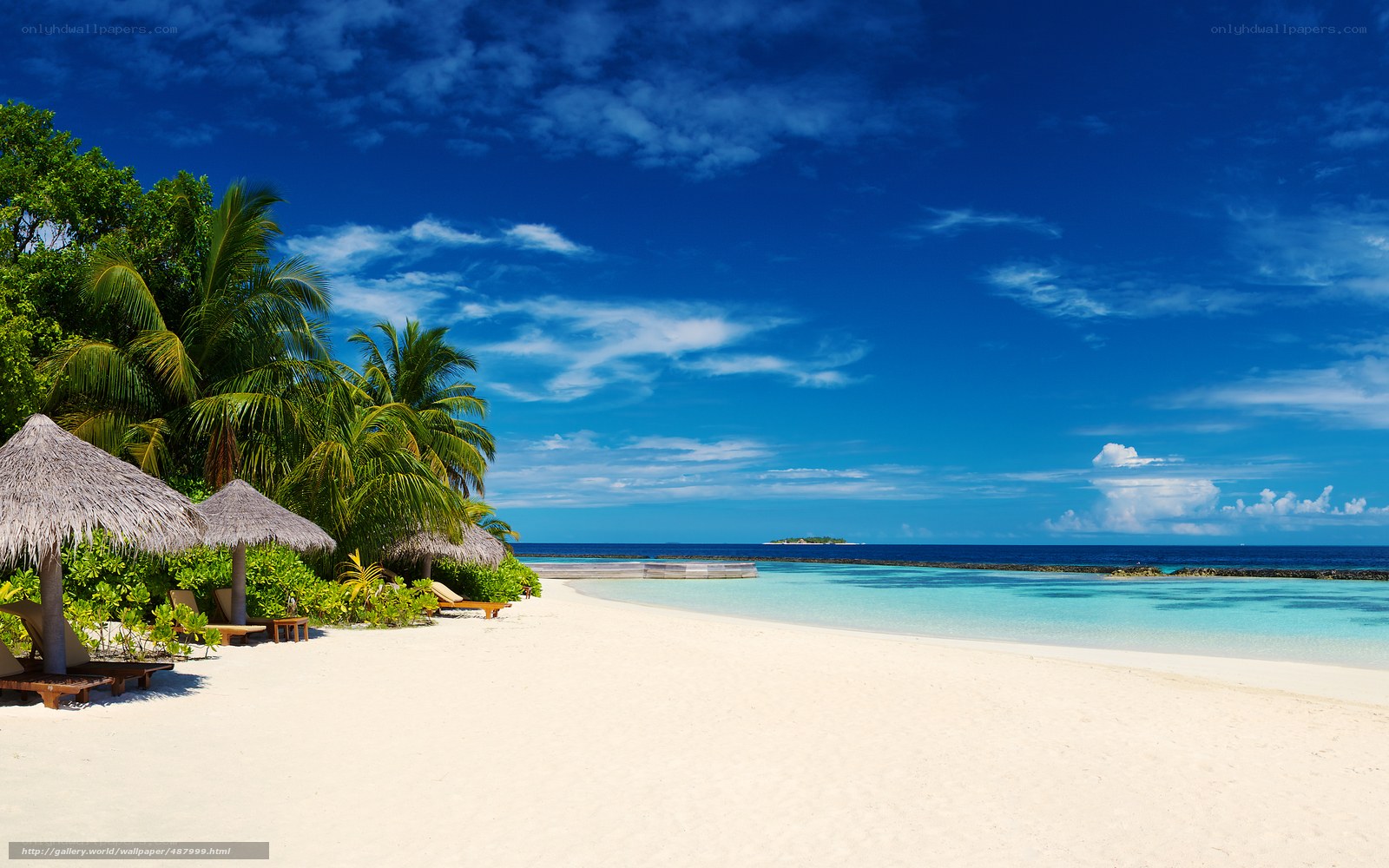 Tropical beach paradise
