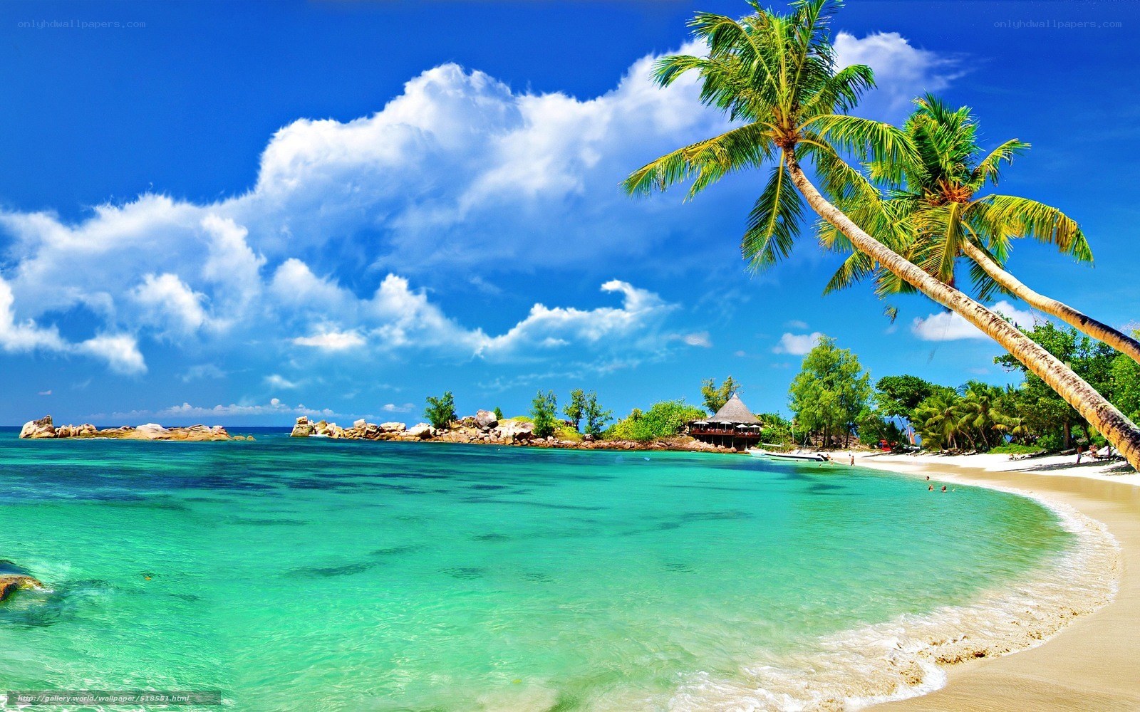 tropical beach paradise