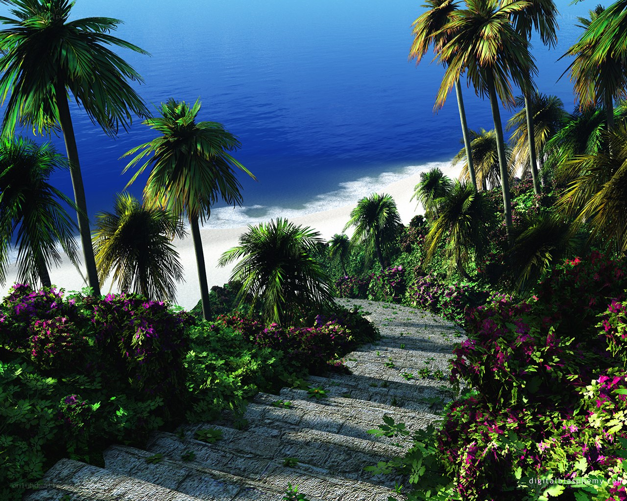 Tropical beach path with palm trees
