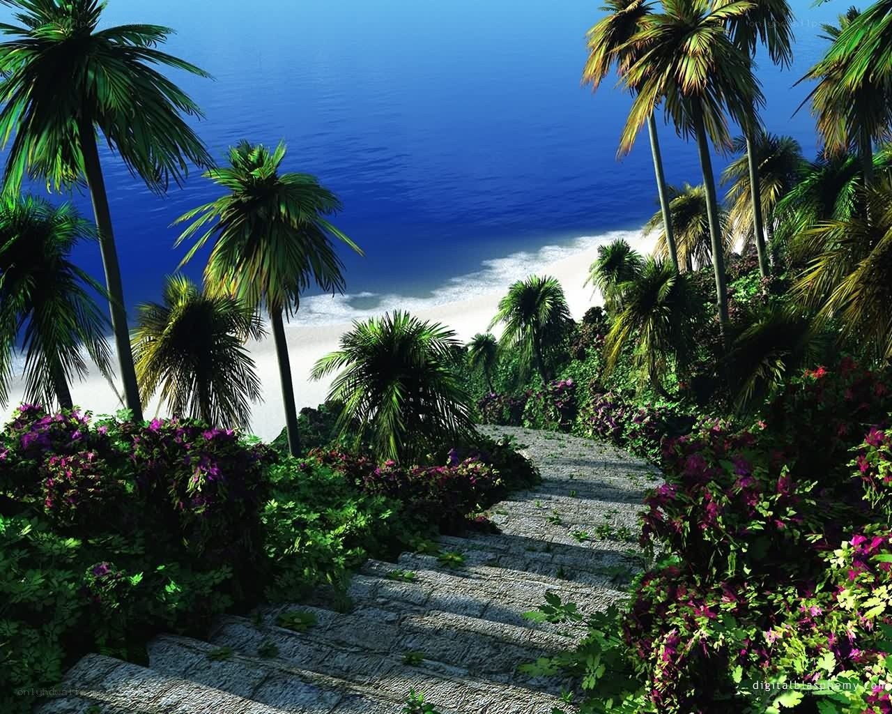 Tropical beach path with palm trees