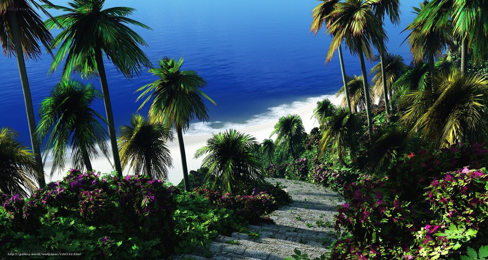 Tropical beach path with palm trees