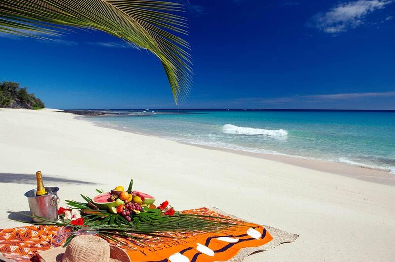 Tropical Beach Picnic — Blue