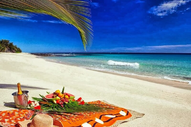 Tropical Beach Picnic