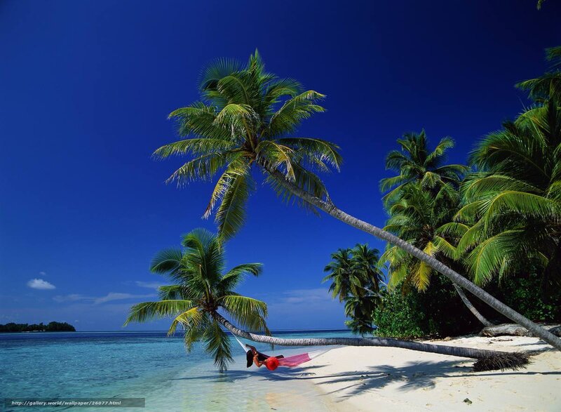 Tropical beach relaxation