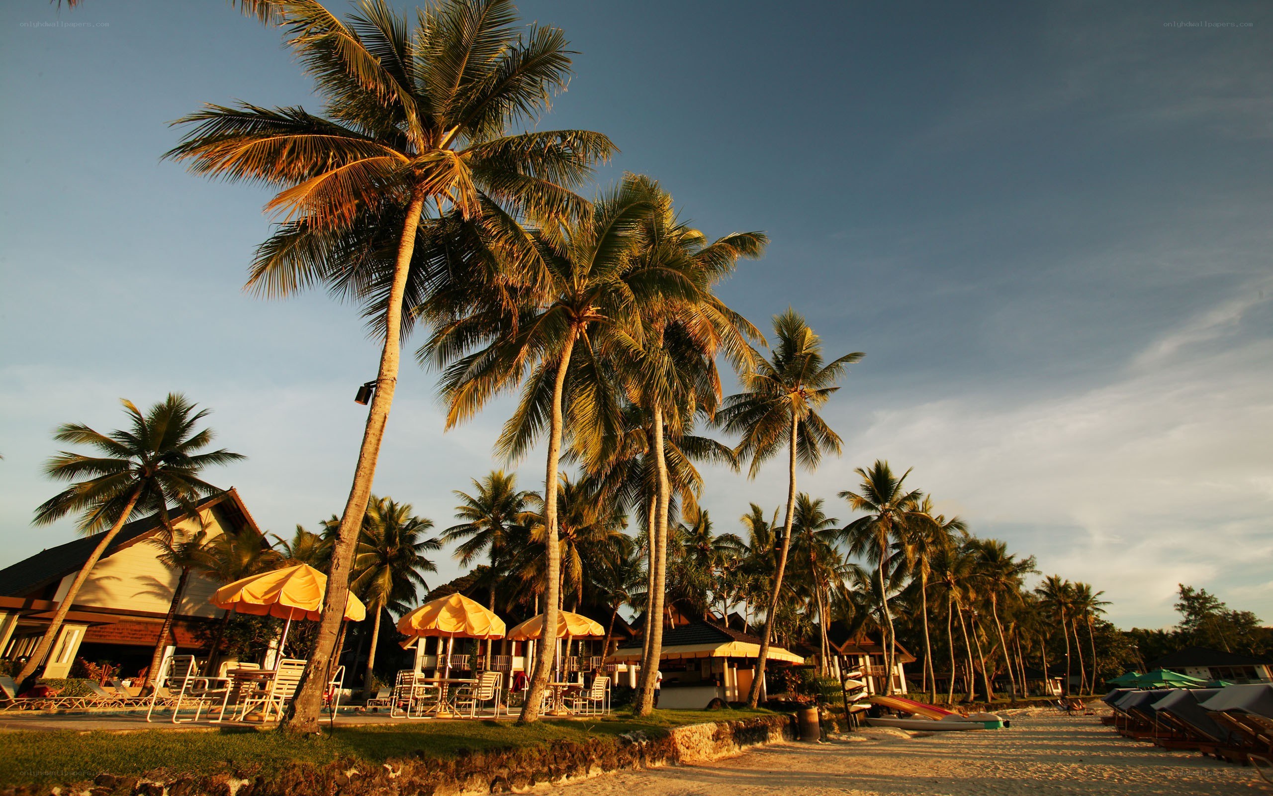 tropical beach resort at sunset