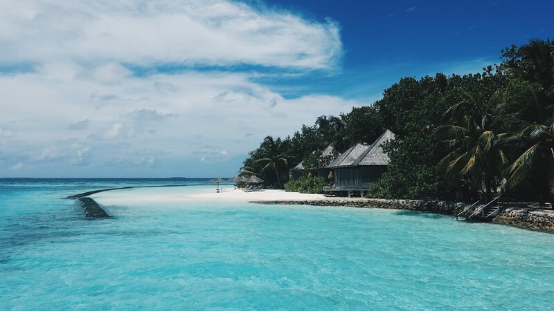 Tropical Beach Resort — Blue, Serene, Afternoon, Photograph, Palm Trees, Bungalows, Umbrellas