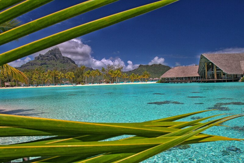 Tropical Beach Resort — Blue, Serene, Afternoon, Photograph, Palm Trees, Mountain, Ocean