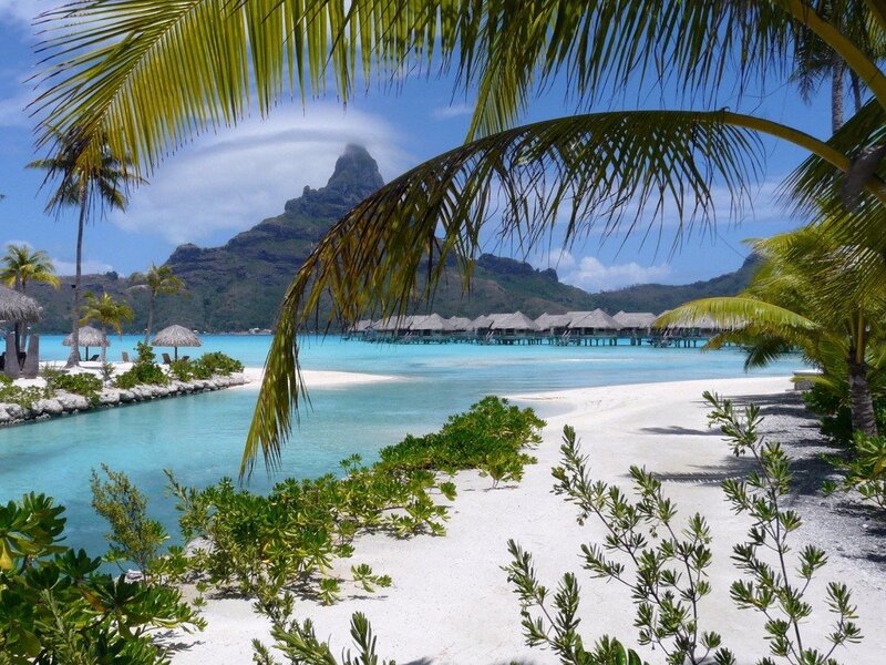 Tropical Beach Resort — Blue, Serene, Afternoon, Photograph, Palm Trees, Mountain