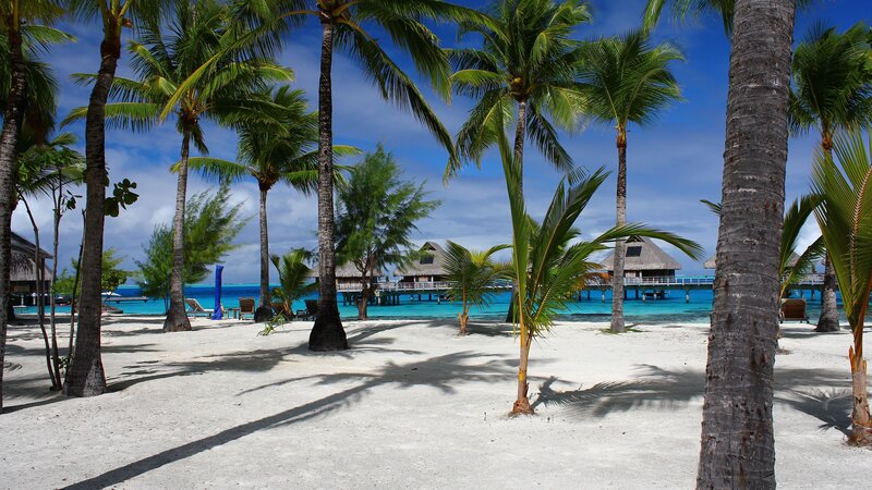 Tropical Beach Resort — Blue, Serene, Afternoon, Photograph, Palm Trees, Overwater Bungalows, White Sand