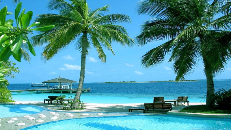 Tropical Beach Resort — Blue, Serene, Afternoon, Photograph, Palm Trees, Pool, Ocean